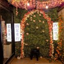 상봉 | 상봉역 이자카야 술집 추천 사족보행 상봉점 후기