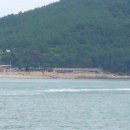 완도9호 이미지