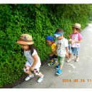 미림어린이집 이미지