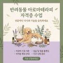 반려동물 아로마 테라피 자격증 | 반려동물 아로마테라피 자격증 수업 후기｜인천 부천 시흥 펫 아로마 수업 잘하는 곳