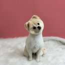 또왕또왕 Dog Salon 이미지