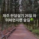 제주도 한달살기 26일차 / 블루보틀 제주점🧢 삼다수숲길 주차장 2코스💧 우정곱창 성산점🐖