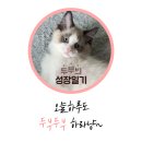 아름동물병원 이미지