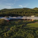 포도가 있는 풍경 이미지