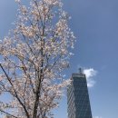 밀영어행정사사무소 이미지