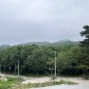 보나의언덕 이미지