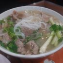 PHO하노이 네이버블로그