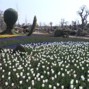 순천만펜션민박 이미지