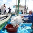 뚝도시장 이미지