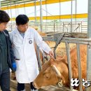 한국개량컨설팅 이미지