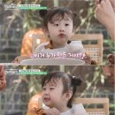 하하불고기