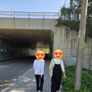 서천-17 | 다양한 생태를 관람할 수 있는 서천 국립생태원 에코리움 방문 후기