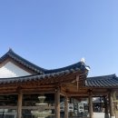 담빛수영장 | 담양 기역 니은 디귿 대형 카페 담양 테라스 카페 추천 담양 애견동반가능 카페 내돈내산 후기