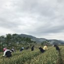 부안유통 이미지