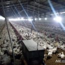 정읍부화장 이미지