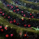 바람소리 이미지