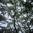 (주)골드넥스 이미지