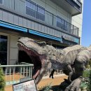 🦖김포 아이랑 가볼만한곳 공룡테마파크 몬스터리움 후기(30개월 아기와 어린이날공휴일 방문)