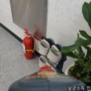 용인대아이사랑태권도장 이미지