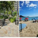 와이키키휘트니스 | 하와이 쉐라톤 와이키키 호텔 신혼여행 후기｜오션뷰·수영장·위치