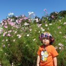 천호농장 이미지