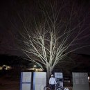 고령 삼천리 자전거 이미지