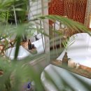 미도리제주 민박 이미지