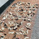 엄마의손맛 이미지