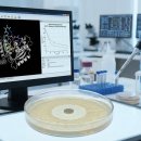 주식회사 미래생명자원 이미지