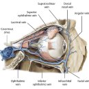 운동케어센터 이미지