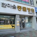 한마음종합동물병원 네이버블로그