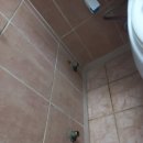 삼성라지에다 이미지