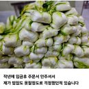 16일부터 절임.김장세트 주운받습니다 이미지
