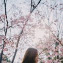 스마트컴퍼니 네이버블로그