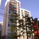 지에스25 안성제일점 이미지