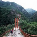 강천산 길 이미지