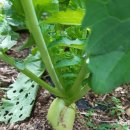 만산농장 이미지