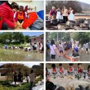 반딧불이마을 영농조합법인 이미지