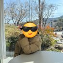 노멀즈커피 이미지