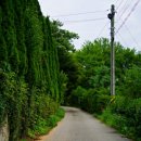 고성리 마을회관 이미지