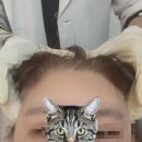 서정크리닉 | [서정동 두피관리] 헤드스파k 평택서정점 두피 탈모 관리 후기