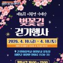 벚꽃길부엌