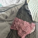 비즈필라테스정촌점 | 호다다닥 흘러가는 시간 🫢