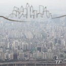김민지공인중개사사무소 뉴스1