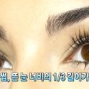 반해속눈썹 이미지