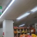 대명꽃도매