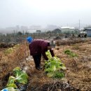 공북2리경로당 이미지