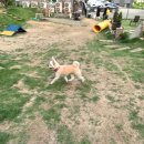 푼타하우스 이미지