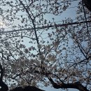 낙동강변로-4 네이버블로그