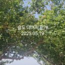 슬도주차장화장실 이미지